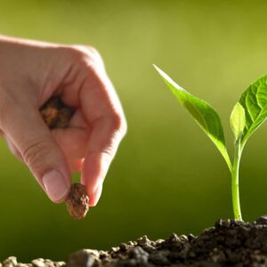 Membership subscriptions